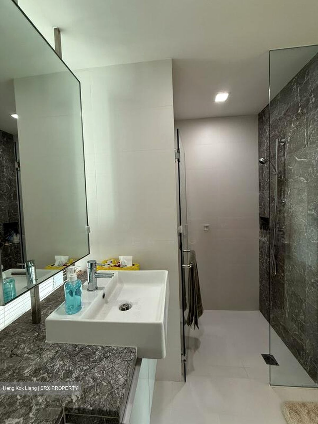 Oasis Garden (D19), Condominium #504723231